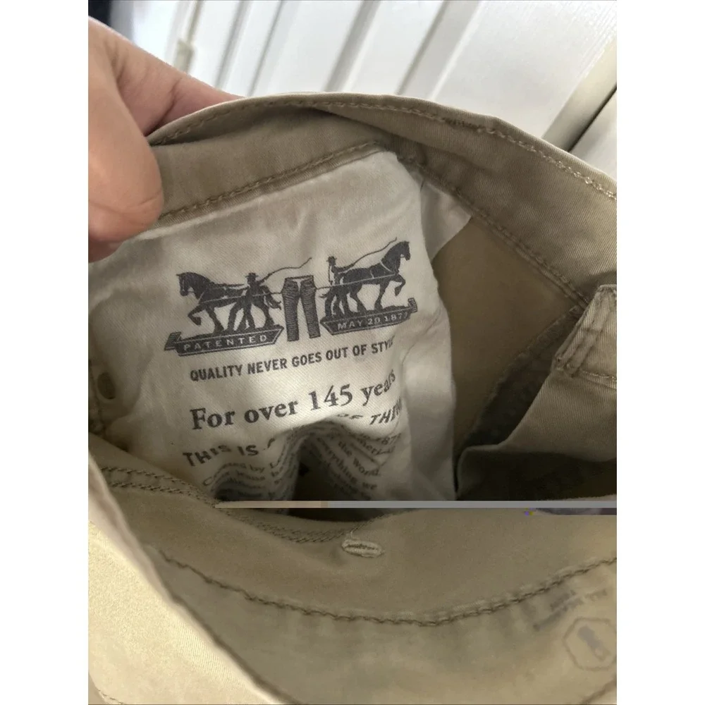 Levis levis 541